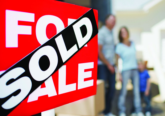 What You Need to Know Before You Buy