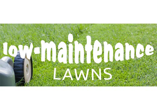 Low-Maintenance Lawns