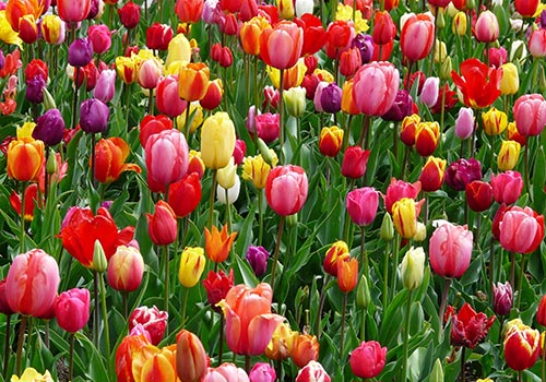 Should You Sell This Spring?