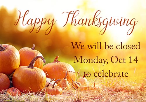 Thanksgiving 2019 Hours