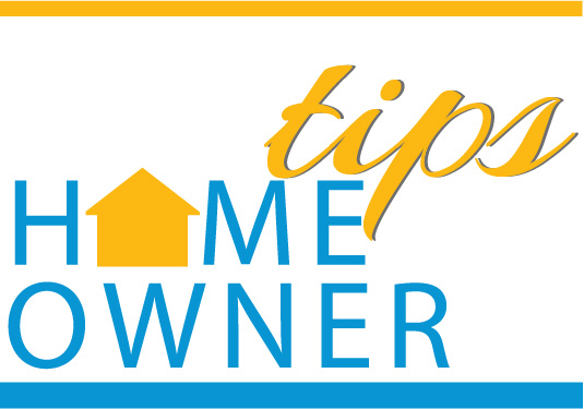 Homeowner Tips: Live Christmas Trees