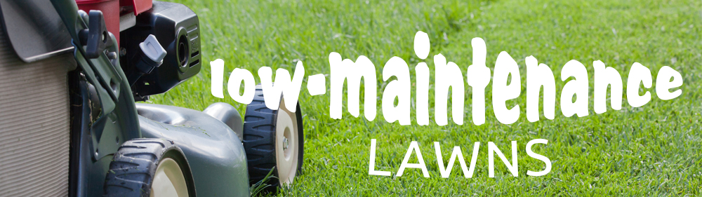 creating a low-maintenance lawn